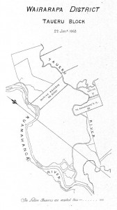 map-Tur02PlanP130a[1] Taueru Block 