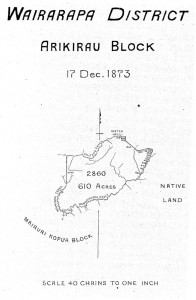 map-Tur02PlanP143a[1] Arikirau Block 