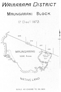 map-Tur02PlanP144a[1] Maungaraki Block 