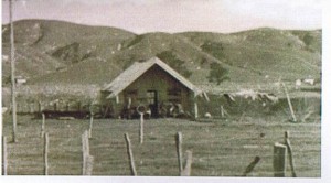 library-Taueru pa      